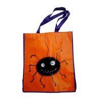 东城KB05 覆膜无纺布袋（可定制）